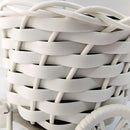 Vaso de plantas- Mini bicicleta