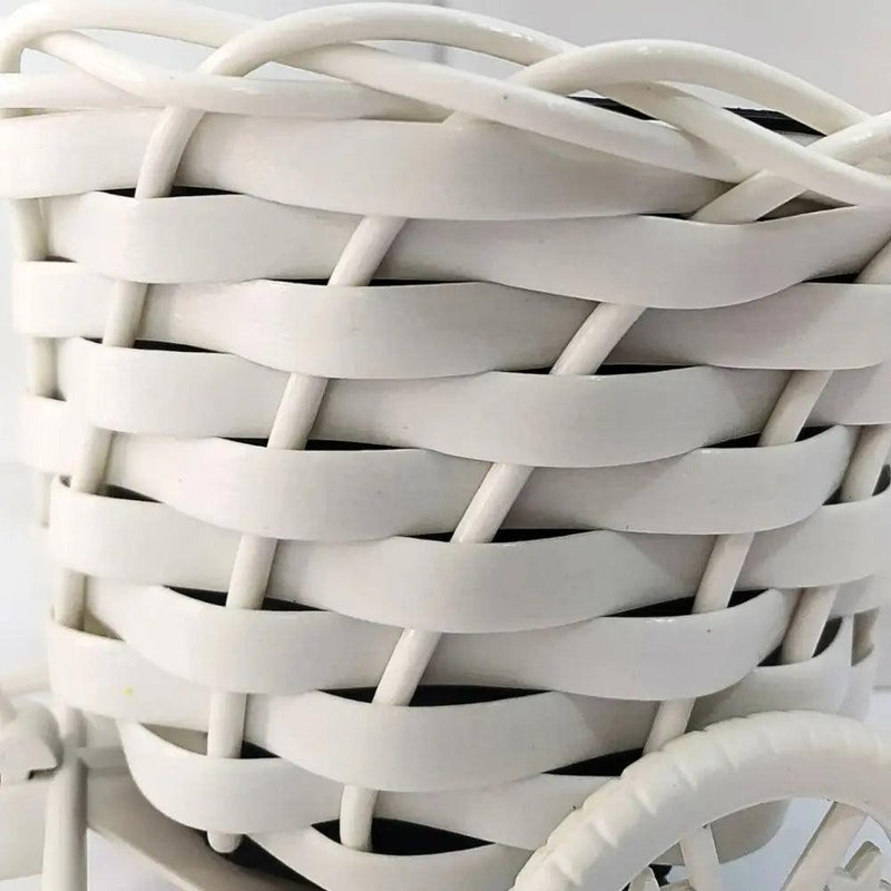 Vaso de plantas- Mini bicicleta